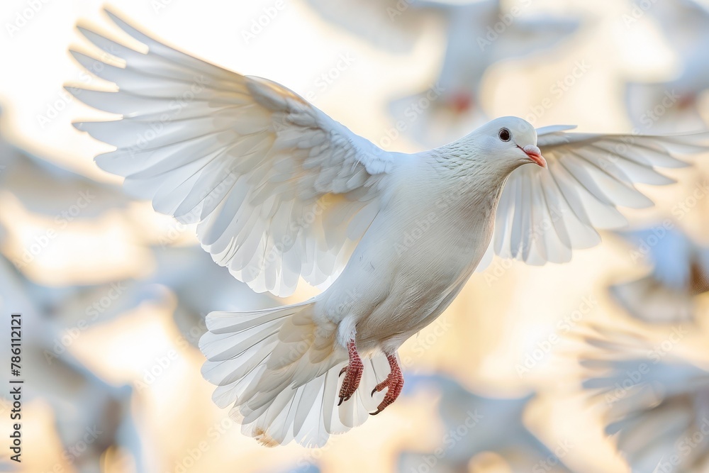 Obraz premium Captivating shot of a single white dove in mid-flight with wings spread wide, symbolizing peace