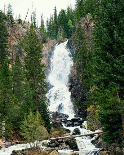Vertical shot of the Fish Creek Falls surrounded by greenery in Routt County, Colorado photo