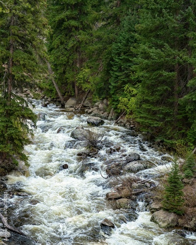 Vertical shot of the Fish Creek Falls surrounded by greenery in Routt County, Colorado photo