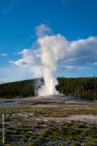 Vertical shot of a geyser filled with hot water near the forest © Wirestock