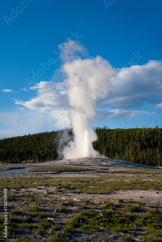 Vertical shot of a geyser filled with hot water near the forest