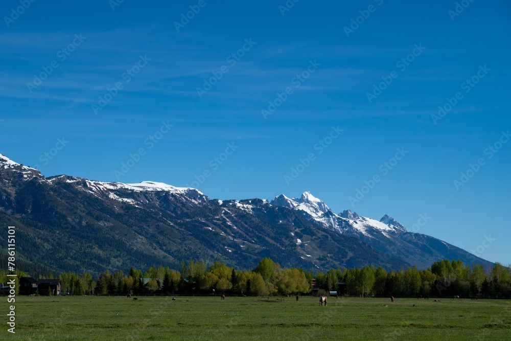 Landscape of grass plain and mountain range in the background