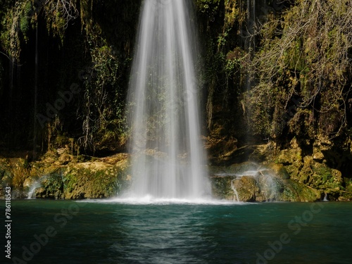 Beautiful Waterfall Forest 3