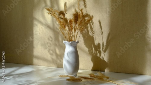 Vase with dried flowers and shadow of the dragonfly on background casting shadows . Minimal modern interior decoration concept. Autumn wabi sabi style aesthetics photo