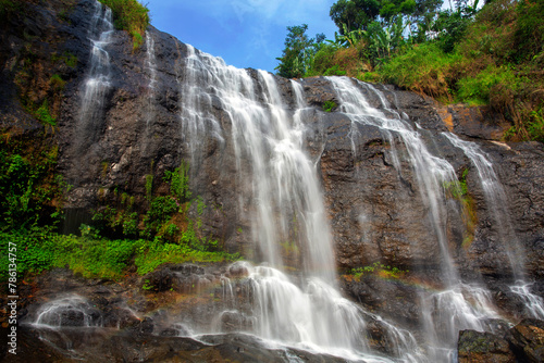 waterfall in the forest