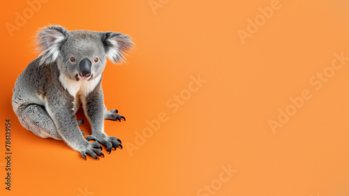 A cute gray koala sits against a bright orange background, looking curiously to the side with copy space