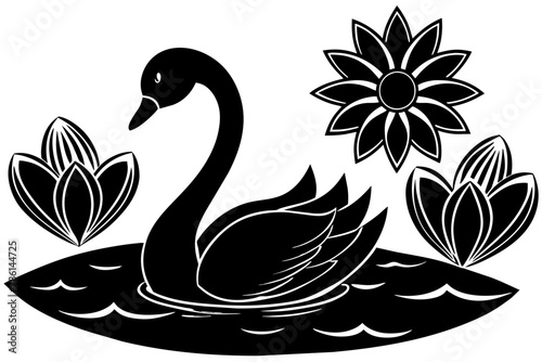 Fototapeta Naklejka Na Ścianę i Meble -  Black and white beautiful view of swan playing water in pond, lotus, sunrise, rim lighting  vector silhouette on white background