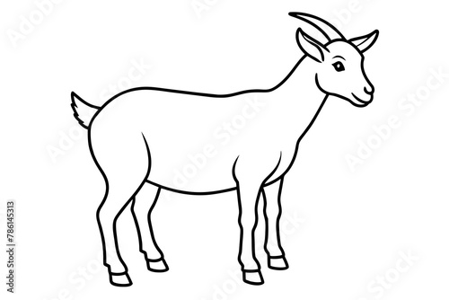 goat line art vector illustration  © Chayon Sarker