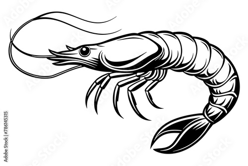 shrimp vector silhouette 