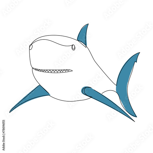 shark line drawing on white background vector