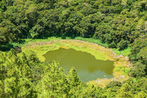 Aerial  view  of Trou Aux Cerf Volcano (also known as Murr's Volcano) in the tropical tropical plants, Mauritius island photo