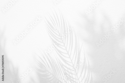 Grey shadow of natural palm leaf and tree abstract background falling on white wall texture for background and wallpaper. Tropical palm leaves foliage shadow overlay effect  foliage mockup and design