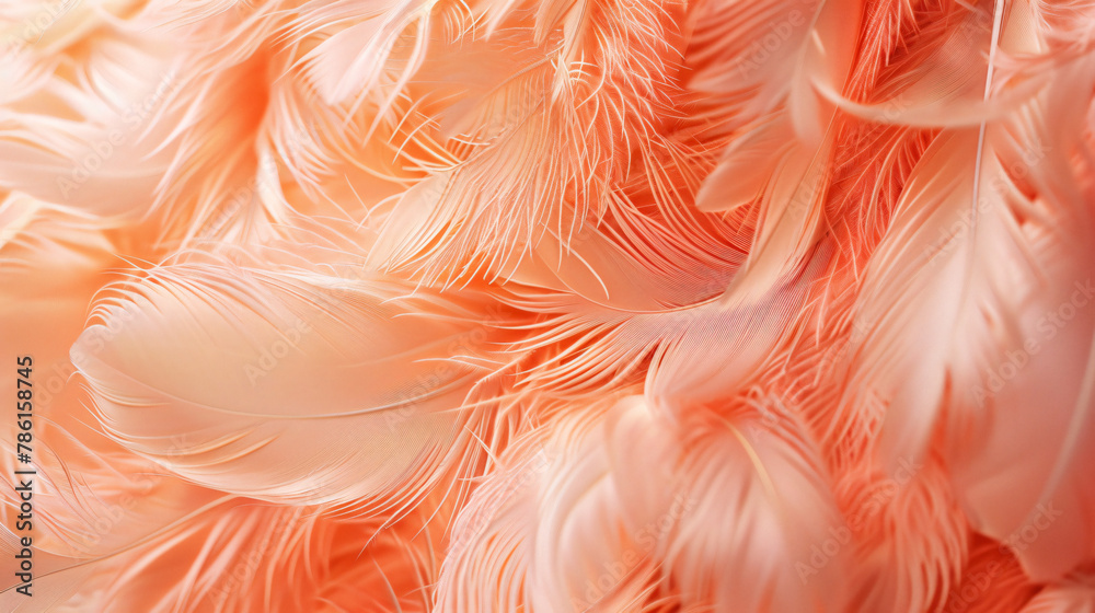 An abstract background of fluffy peach fuzz feathers 