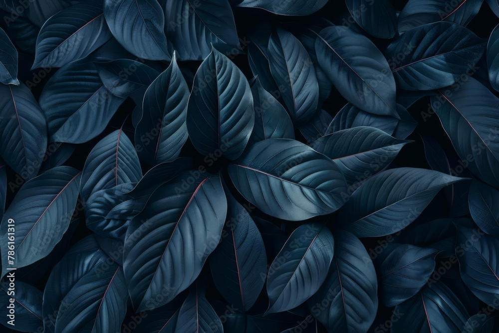 tropical leaf background with dark nature concept abstract black leaves textures for digital art flat lay tropical leaf background with dark nature concept abstract black leaves textures for digital art flat lay