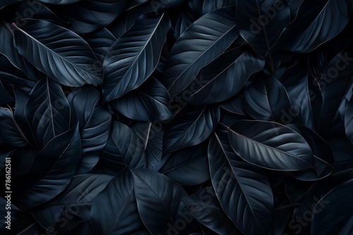 abstract black tropical leaves texture background dark nature concept digital ai art