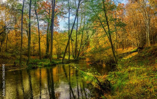 Jesień nad rzeką Łyną. © Janusz Lipiński