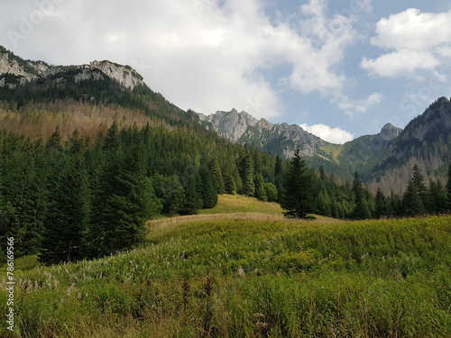 landscape in the mountains