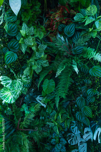 Group of dark green tropical leaves background, Nature Lush Foliage Leaf Texture, tropical leaf © Nabodin