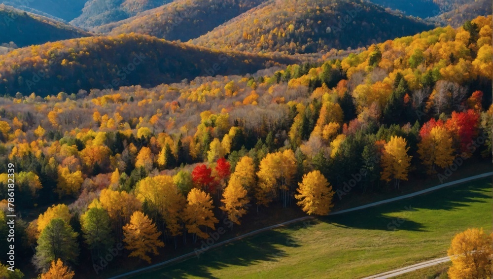 Aerial view of autumn landscape amidst rolling hills and colorful foliage.