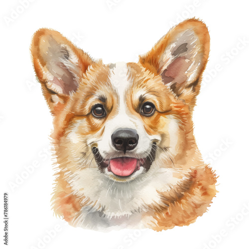 corgi dog watercolor good quality and good design