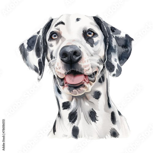 dalmatian dog watercolor good quality and good design