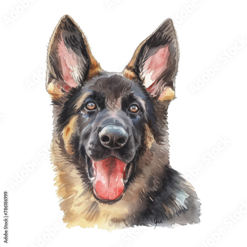 German Shepherd dog watercolor good quality and good design