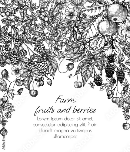Vector frame blooming garden with harvest. Cherries, apples, blackberries, raspberries, blueberries, lingonberries, cloudberries, wild strawberries, rose hips in engraving style	