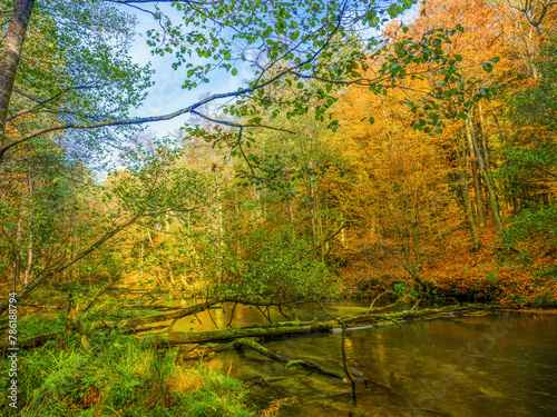  Jesień nad rzeką Łyną. © Janusz Lipiński