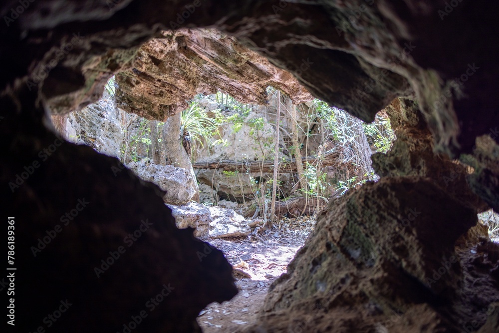 A beautiful view taken from inside a cave looking out of the dark cave cavern on a sunny day, taken at the Varahicacos Ecological Reserve in Varadero in the country of Cuba