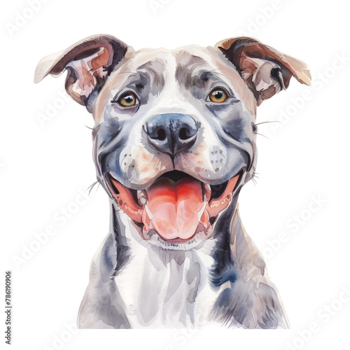 Pitbull dog watercolor good quality and good design
