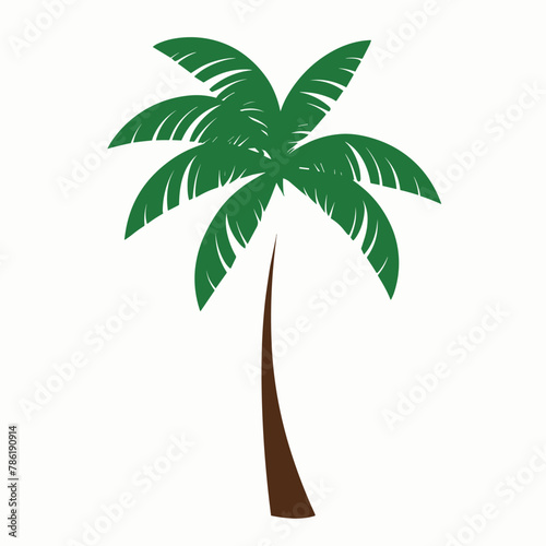 palm tree illustration