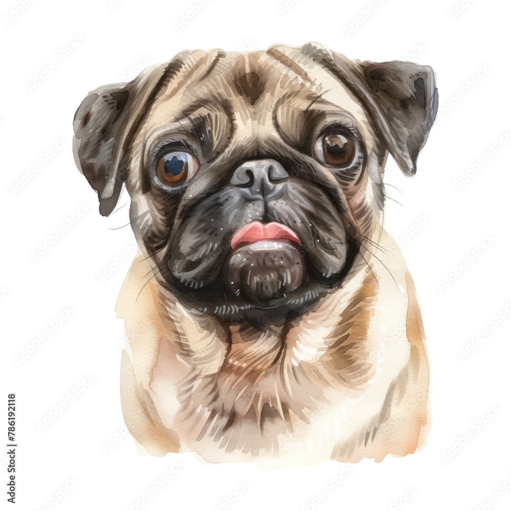 Fototapeta premium pug dog watercolor good quality and good design
