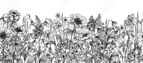 Vector seamless horizontal pattern of white and blue spring flowers. Daffodils, lilies of the valley, snowdrops, irises, anemones, crocuses, scilla, violet, brunnera