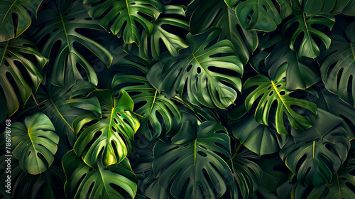 A lush green plant with large leaves and a dark background