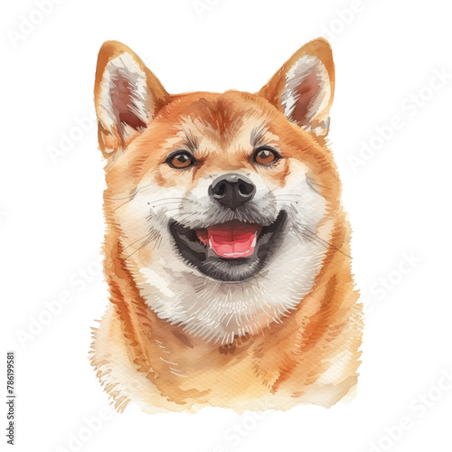 shiba inu dog watercolor good quality and good design