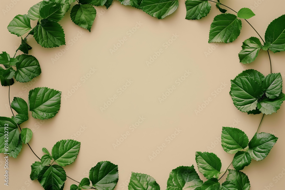 circular frame made from green leaves on a beige background, in a flat lay style circular frame made from green leaves on a beige background, in a flat lay style