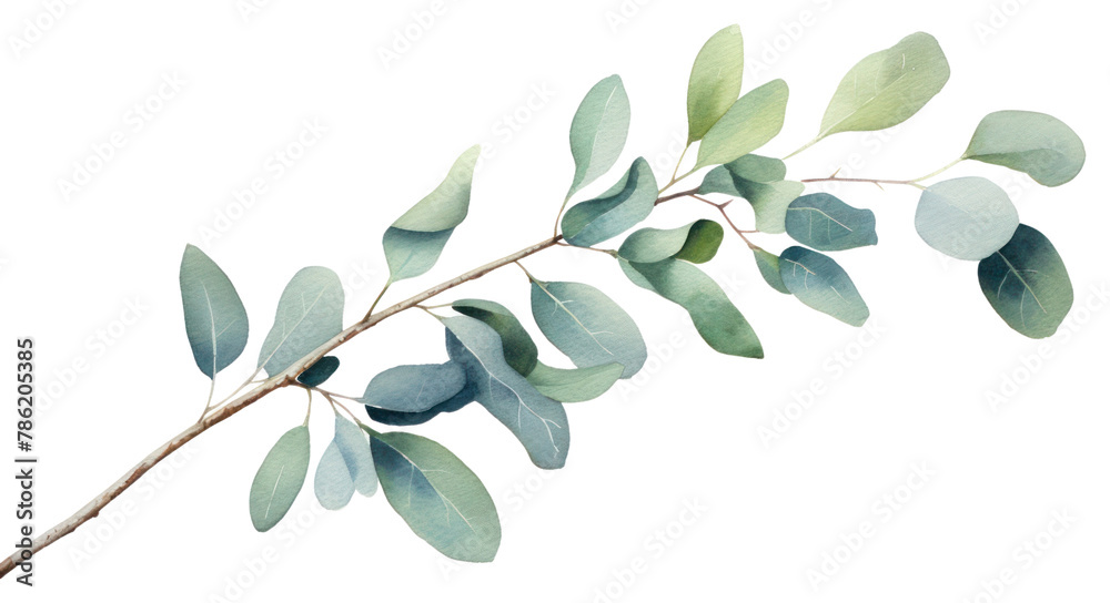 Fototapeta PNG Branch plant leaf tree