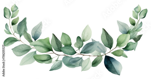 PNG Leaf plant transparent background accessories