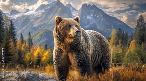 Big grizzly bear portrait in the mountains with forest and cliff background. © Barosanu