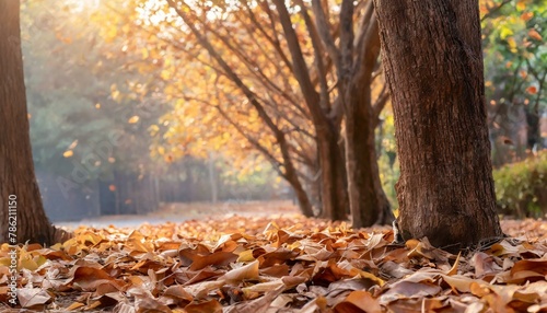 Numa tarde de outono  folhas douradas caem suavemente das   rvores  criando um tapete crocante sobre o ch  o. 