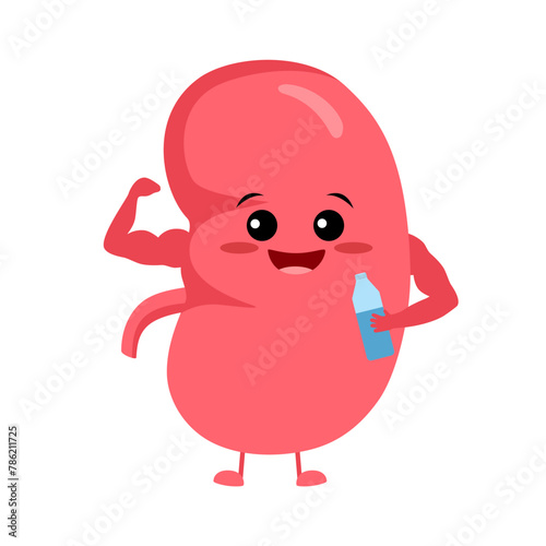 Happy cute smiling healthy kidney cartoon character show muscle biceps healthy strong kidneys organ and holding water bottle.