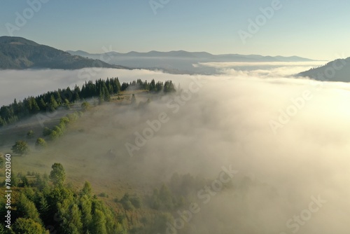 Aerial view of beautiful landscape with misty forest in mountains