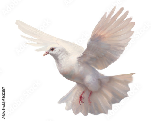 PNG Painting animal pigeon white