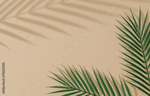 Green tropical leaves and shadow on sand color background. Minimal summer concept with palm tree leaf. Creative copyspace. Flat lay, top of view.
