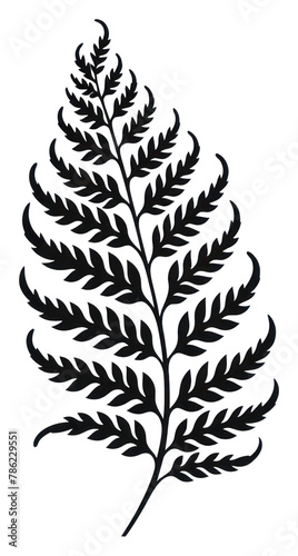 PNG A black fern leaf old school hand poke tattoo style drawing sketch plant
