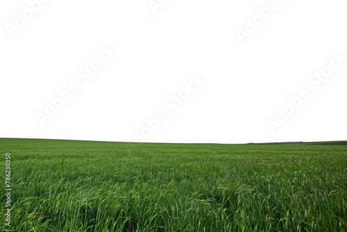 PNG Green field sky outdoors horizon