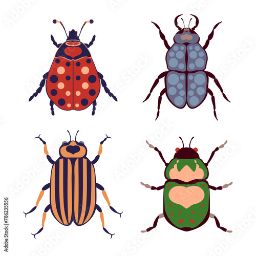 Beetles set, bugs with abstract pattern vector illustration on white background