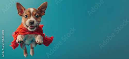 Toy dog in red cape flies, snout pointed high, collar jingling in the air photo