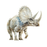 Illustration of Triceratops on white background painted with watercolor