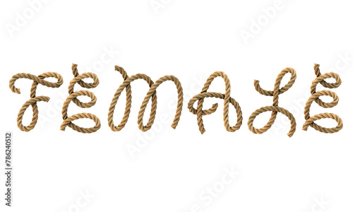 3D render of the text "female" with a rope texture